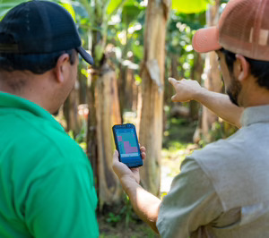 Farms Digital diversifica tras cumplir un año como compañía agritech independiente