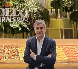 Antonio Alarcón (Bollo Natural Fruit): “El potencial de la fruta de cuarta gama es enorme”
