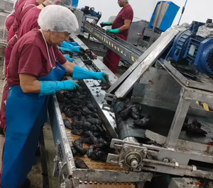 Industria acelera la resolución del Perte Agro con 71 adhesiones provisionales