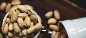 New Nuts inicia operaciones para abordar la comercialización de frutos secos