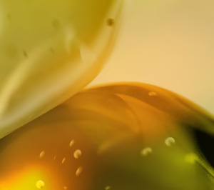 Eurofragance presenta Olivante, su más reciente ingrediente patentado de perfumería