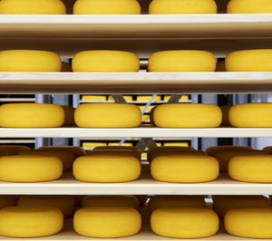 Frieslandcampina Iberia se apoya en la exportación para mantener su crecimiento