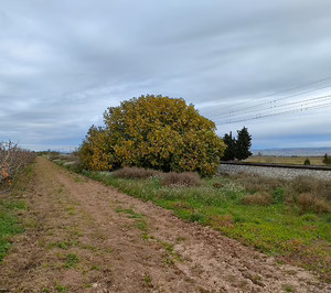 Gos Acceso nace para acelerar la transformación digital y la sostenibilidad del sector agroalimentario