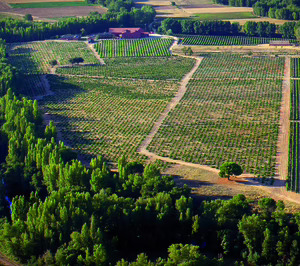 González Byass unifica la gestión de sus bodegas de Ribera del Duero y Rueda