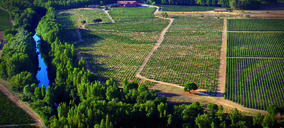 González Byass unifica la gestión de sus bodegas de Ribera del Duero y Rueda