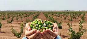 IberoPistacho suma inversiones para acoger un volumen de procesado de pistacho récord