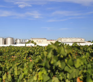Bodegas Alcardet crece a doble dígito mientras refuerza sus planes de inversión e innovación