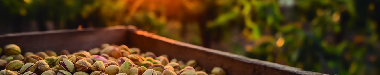 Informe 2025 sobre el mercado de Frutos Secos