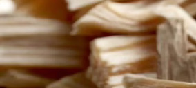 La CNMC pide establecer cautelas ante la nueva normativa de productos libres de deforestación