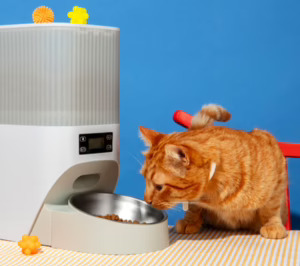 La evolución y la revolución del PetTech