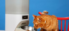 La evolución y la revolución del PetTech