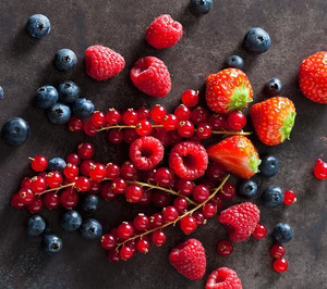 Transportes Bolipesk, Trota y Penadés se alían para liderar los tráficos de frutos rojos