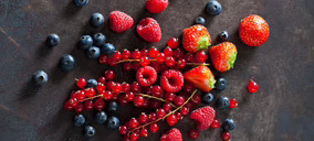 Transportes Bolipesk, Trota y Penadés se alían para liderar los tráficos de frutos rojos