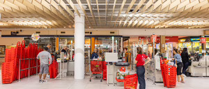 Informe 2025 del sector de Carros y Cestas