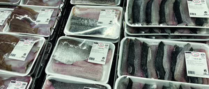 Informe 2025 del sector de Pescadería Moderna Refrigerada