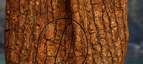 Picda mejora resultados volcada en el mercado interior