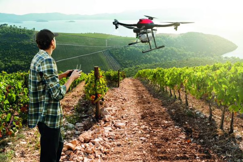 Sostenibilidad y Digitalización: Dos necesidades estratégicas y colaborativas