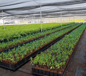 Nazca Capital invierte en agritech con la compra de SanSan