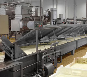 Quesera Napoli sigue creciendo gracias a su especialización en mozarella