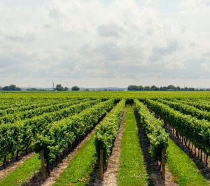 Carbon Farming MED, el programa que transforma el suelo en un aliado climático