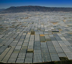 España, epicentro de la I+D para el sector hortofrutícola a escala mundial