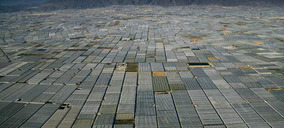 España, epicentro de la I+D para el sector hortofrutícola a escala mundial