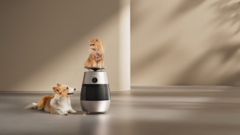 Dreame entra en airfryer portátil, mascotas y triturador de residuos