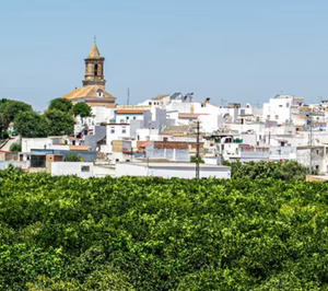 La cooperativa andaluza Óbolo incrementa su red de SAD con varios contratos en 2025