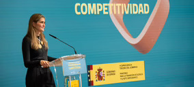 El Gobierno anuncia un paquete de 2.000 M€ para impulsar la descarbonización