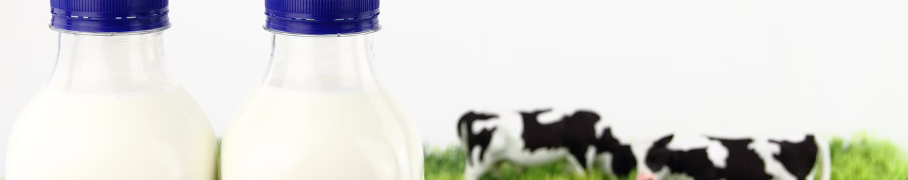 Informe 2025 del sector de Leche de Consumo