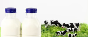 Informe 2025 del sector de Leche de Consumo