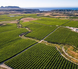 El Ciruelo apuesta por la IA para optimizar el riego y su eficiencia