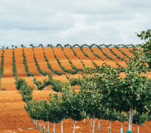 Viridi Horizons activa dos proyectos industriales para elevar la capacidad española de transformación del pistacho