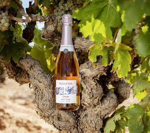 Cavas Marevia presenta una nueva gama prémium y ultima las inversiones para 2026