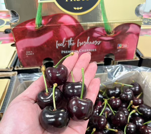 CMR Group completa una ampliación en su sede y prevé repetir ventas