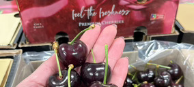 CMR Group completa una ampliación en su sede y prevé repetir ventas