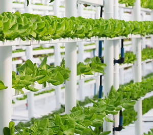 Tecnología y experimentación, esenciales en el modelo de trabajo de Agromontes