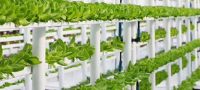 Tecnología y experimentación, esenciales en el modelo de trabajo de Agromontes