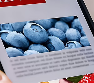 Hortifrut EMEA automatiza la gestión de reclamaciones y rechazos de la mano de Ayesa Digital