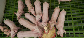 El grupo porcino Sigma Kreas tiene nuevo socio mayoritario