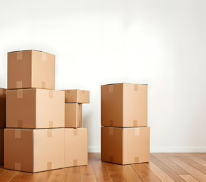 La falta de apoyo financiero trunca la viabilidad de un proyecto de limpieza ecológica