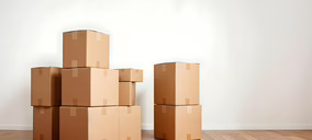 La falta de apoyo financiero trunca la viabilidad de un proyecto de limpieza ecológica