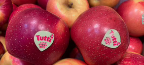 Girona Fruits destina grandes recursos para ganar eficiencia y avanza con ‘Tutti’