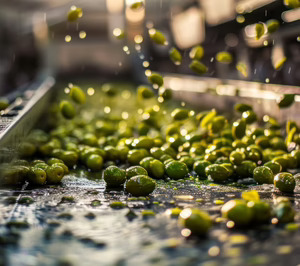 Iberecológica prepara la puesta en marcha de una nueva refinería y una almazara