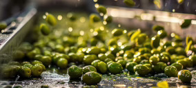 Iberecológica prepara la puesta en marcha de una nueva refinería y una almazara