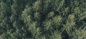 El Reglamento Europeo sobre Deforestación sufrirá nuevos retrasos