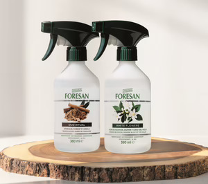 Grupo Forenqui conquista otro segmento y se abre a nuevos mercados