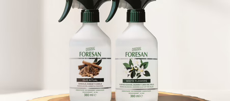 Grupo Forenqui conquista otro segmento y se abre a nuevos mercados