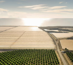 ¿Cómo aborda Agrícola Perichán su proceso de transformación digital con ayuda de la IA y la ciencia de datos?