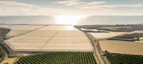 ¿Cómo aborda Agrícola Perichán su proceso de transformación digital con ayuda de la IA y la ciencia de datos?